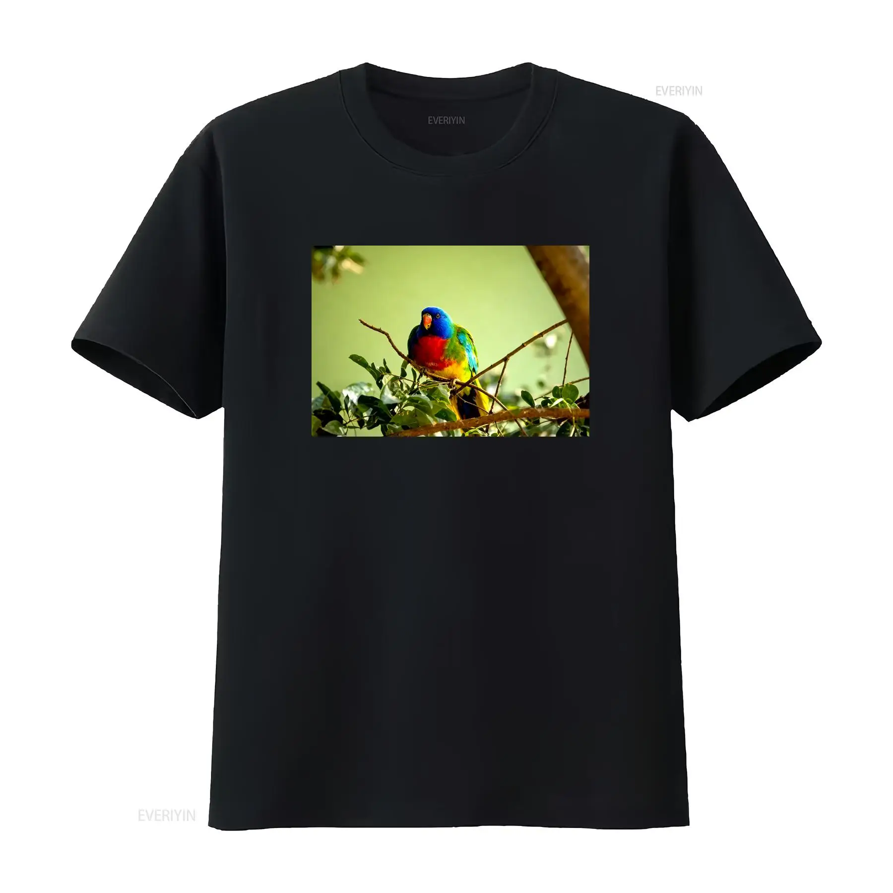 Vintage Fashion Australia - Scarlet Chested Parrot Made in Australia