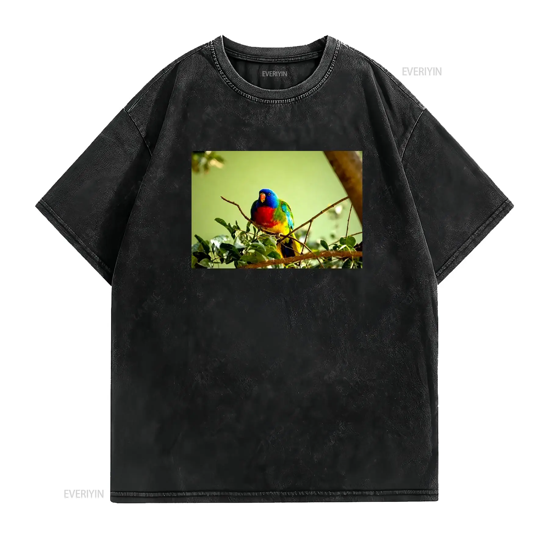 Scarlet Chested Parrot Made in - Vintage Fashion Australia 评论和价格