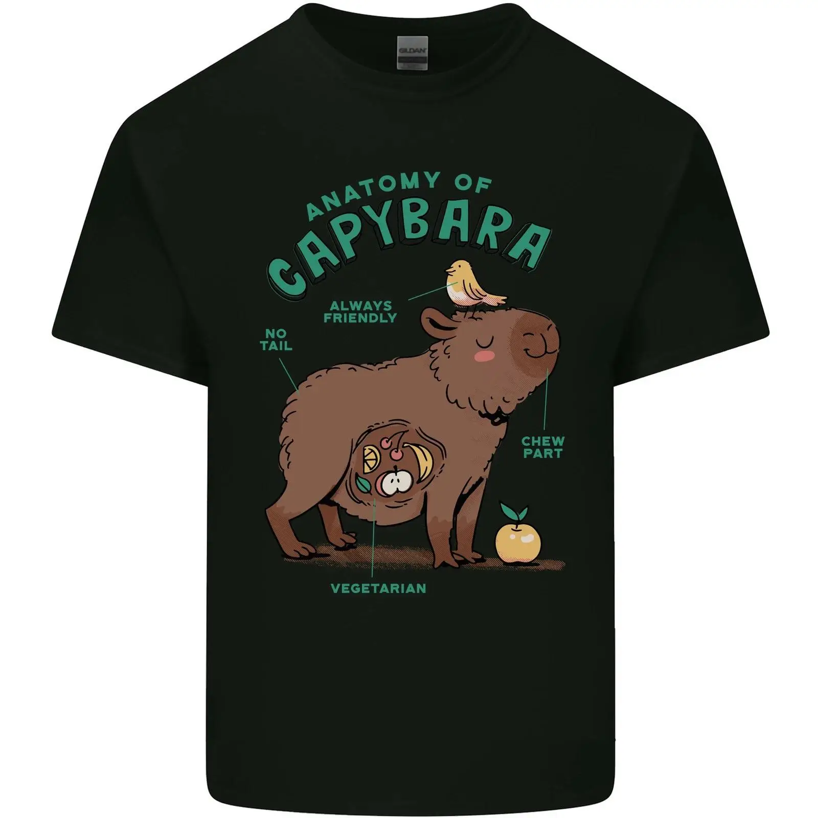 Körperbau Eines Capybara Lusti - Vintage Fashion Herren 评论和价格